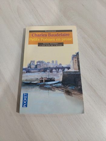 Livre poche petits poèmes en prose Baudelaire clés œuvre spleen Paris
