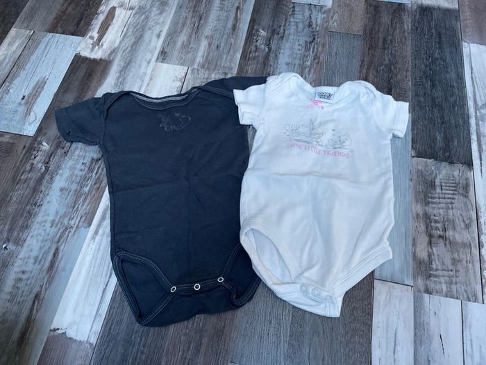 Très beau lot de bodies été fille 12 mois