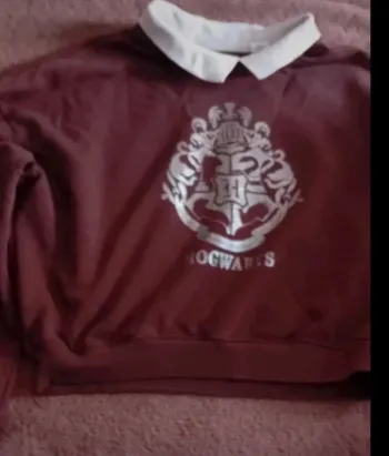 Très joli pull Harry Potter marron 12 ans en très bon état