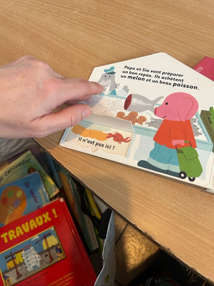 14 livres à volets - photo numéro 7