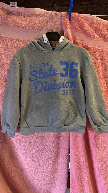 Sweat à capuche (jusqu’à moins 50% à partir de 5articles.)