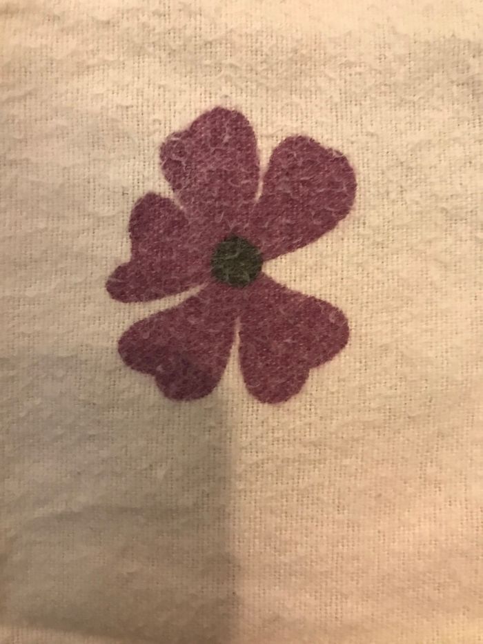 Trait oreiller - photo numéro 6