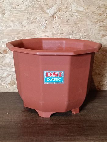 Pot à orchidées