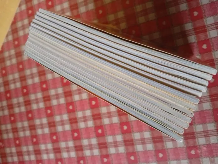 12x Mes premiers j'aime lire aux éditions Bayard sans le CD - photo numéro 15