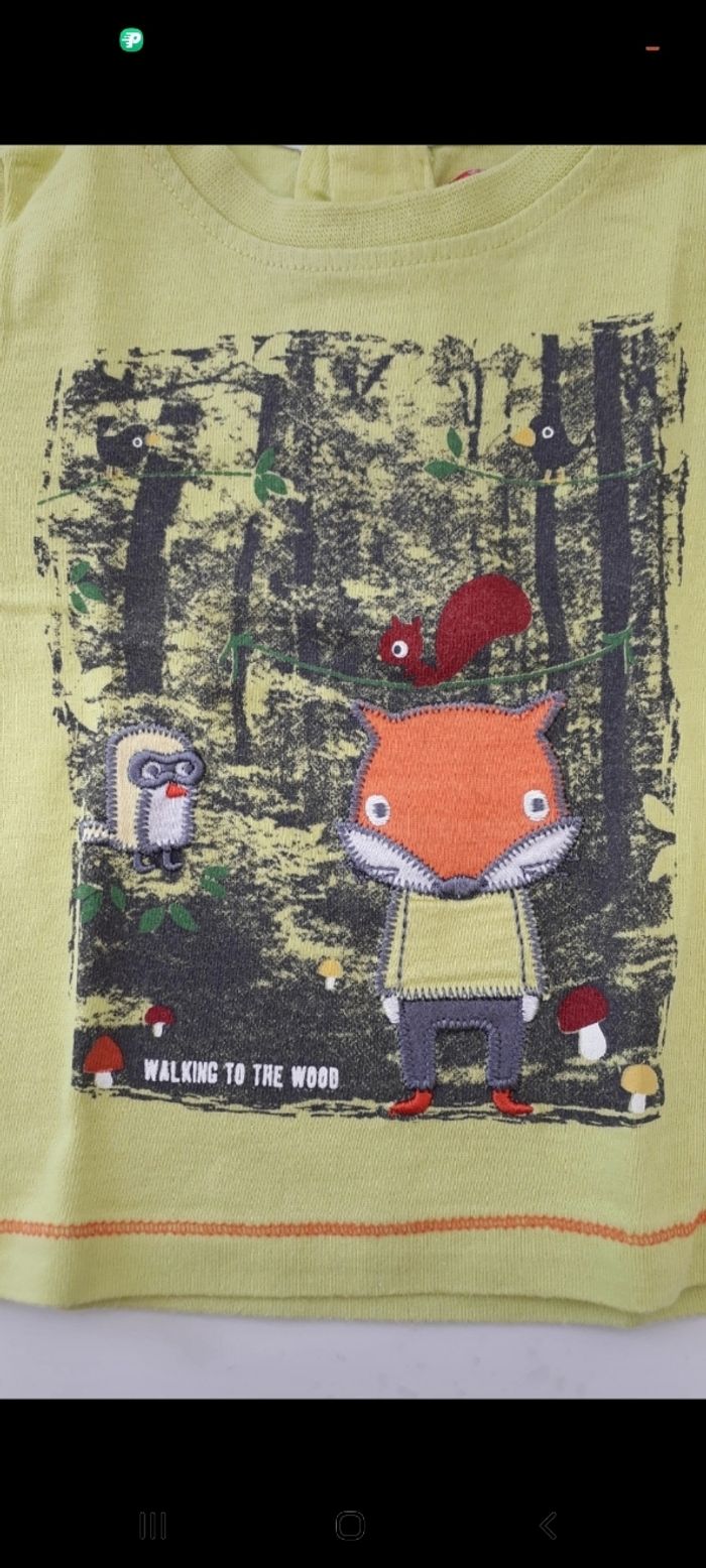 Tee-shirt vert renard - photo numéro 2