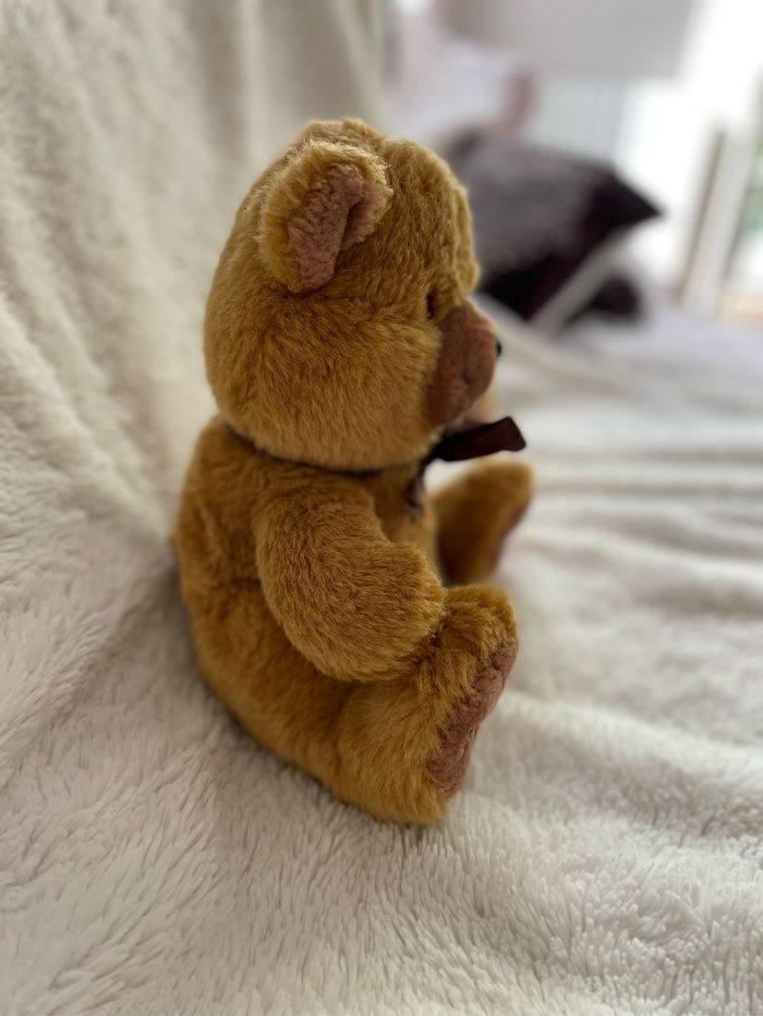 Ourson - photo numéro 2