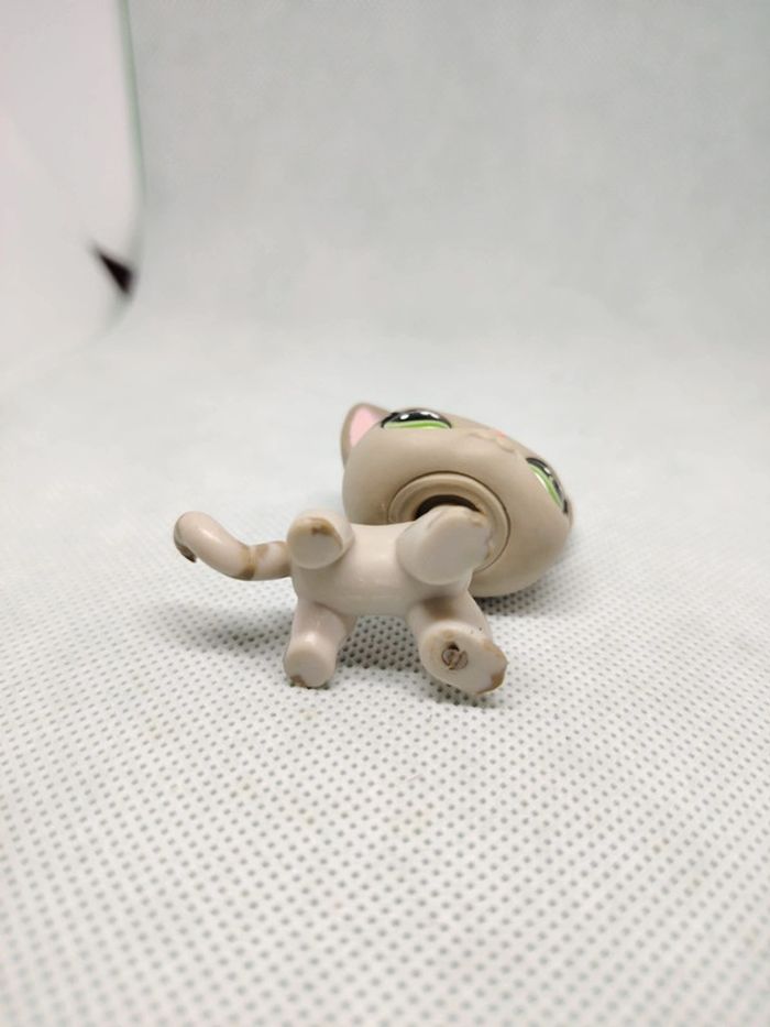 Petshop Littlest petshop chat européen #483 - photo numéro 6