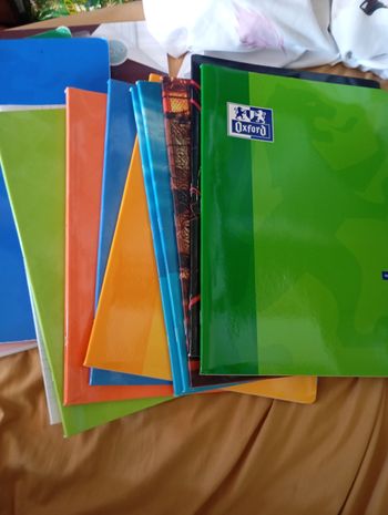 Lot de 10 cahier grand carreaux 21/ 29,7 neuf