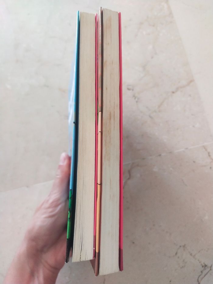 Livres Les Jean-Quelque-Chose T.1&2 - photo numéro 4