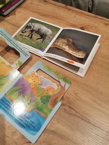 Lot de 2 livres pour apprendre sur les animaux sauvages pour bébé