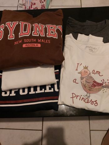 Lot  pulls / t-shirts