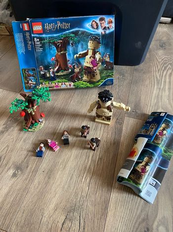 Lego 75967 la forêt interdit Harry Potter 