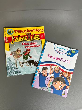 Lot 2 livres primaire