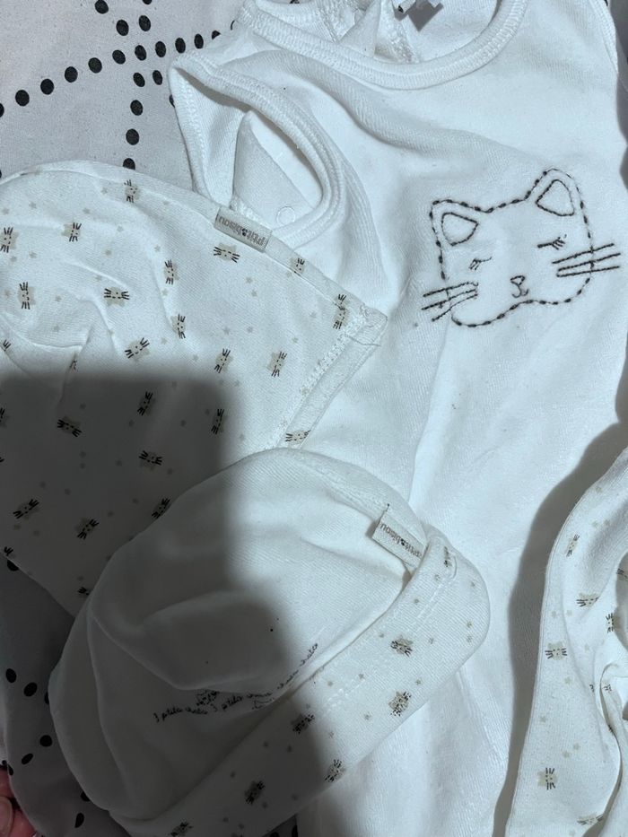 Ensemble chat p’tit bisou - photo numéro 4