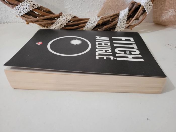 Livre "Aveuglé" de Stona Fitch - photo numéro 4