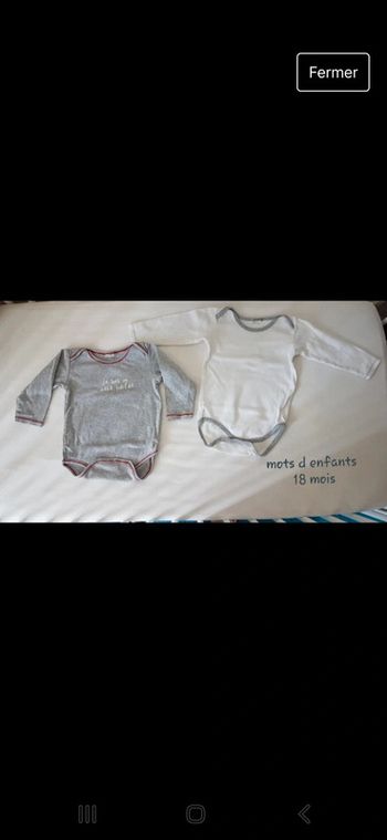Lot de 2 bodys manches longues gris et blanc
