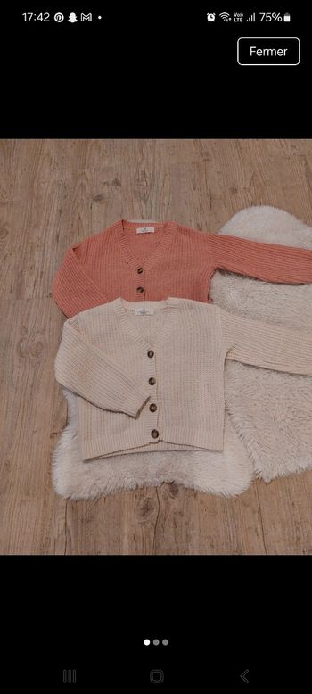 Lot de 2 gilets fille