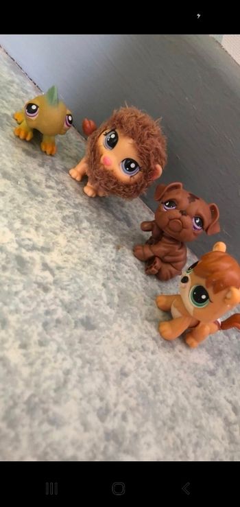 Pet shop