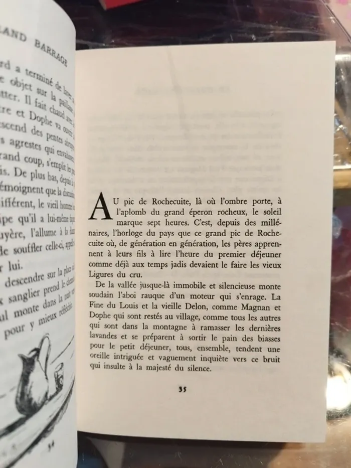 Livre - photo numéro 3