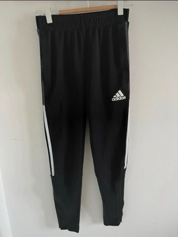 Jogging adidas