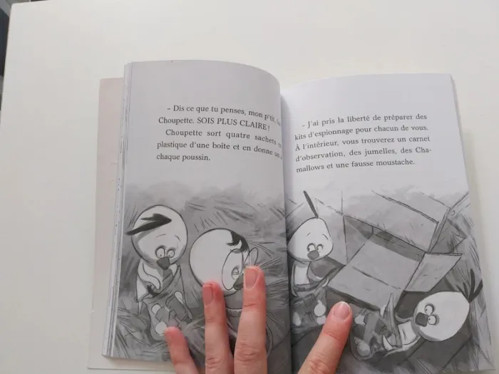 Poussins - photo numéro 2