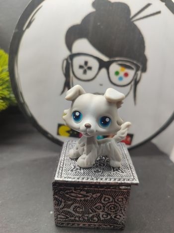 Lps1137 My Littlest Petshop Pet Shop Authentic Authentique Dog Collie Colley 363