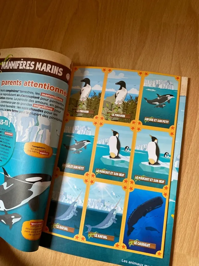 Magazine Animaux marins - photo numéro 2