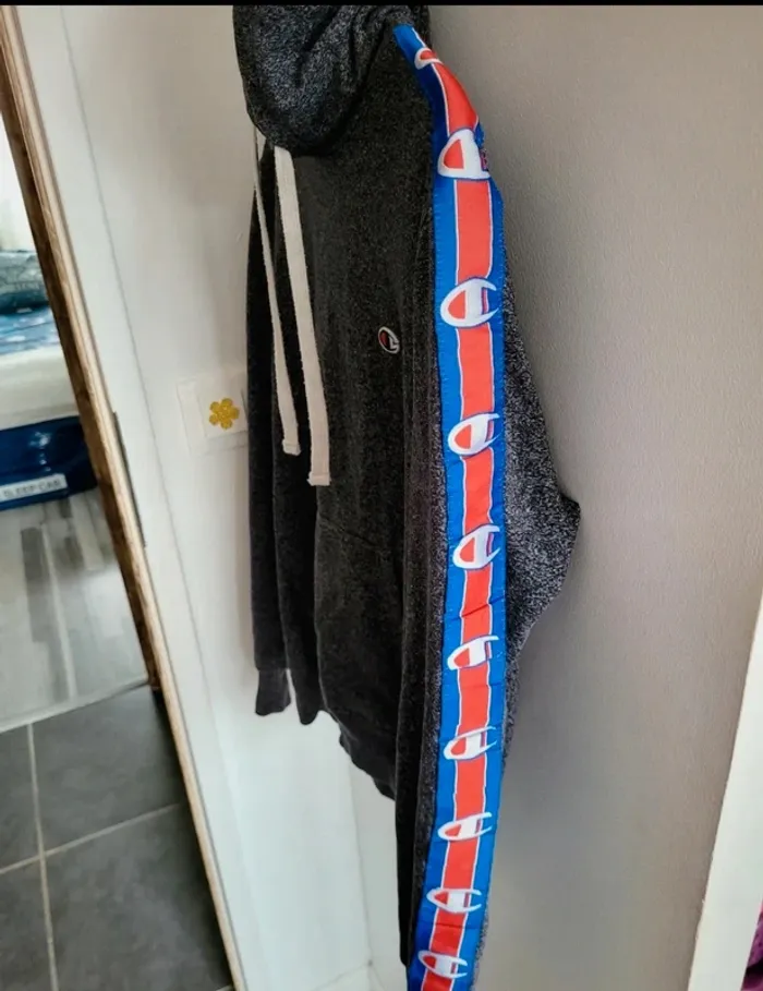 Pull champion - photo numéro 2
