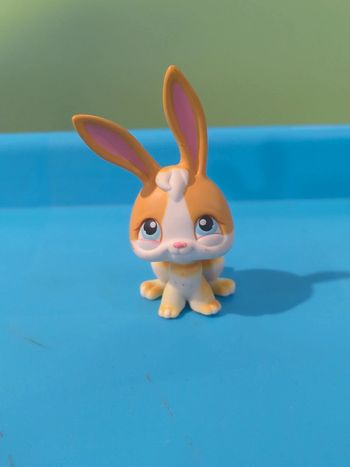 littlest Petshop lapin
