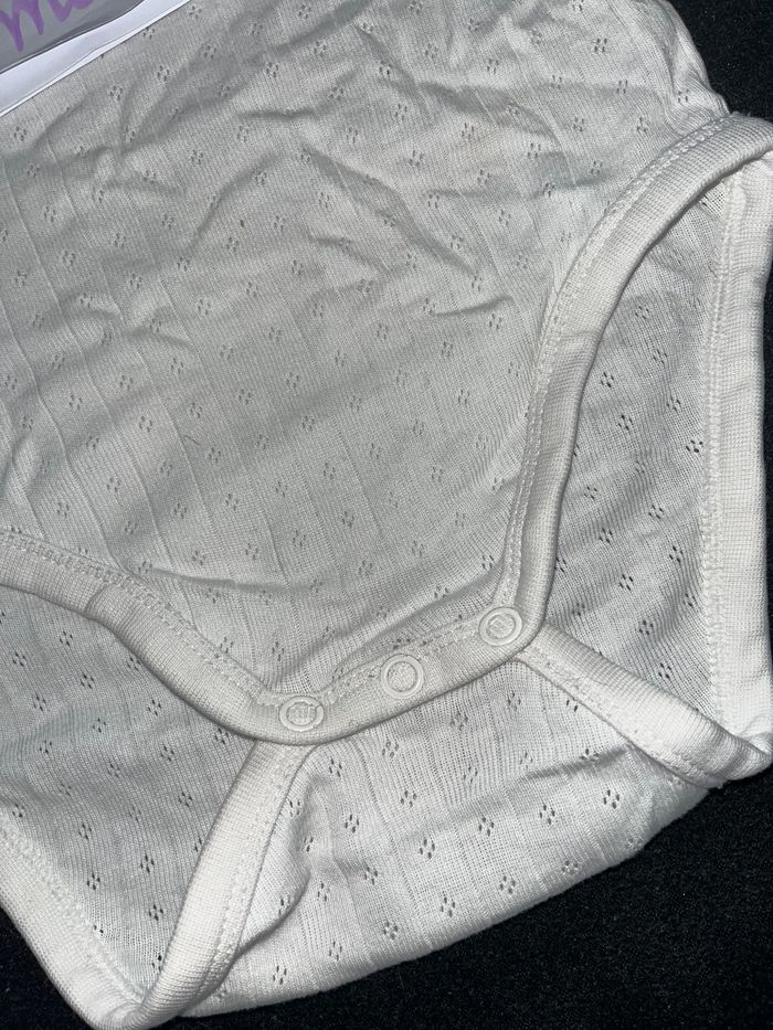 Bodie 18 mois - photo numéro 2