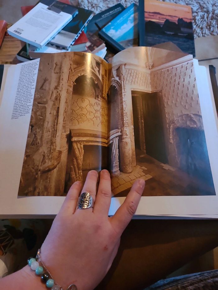 Les plus beaux Chateaux de la loire - photo numéro 5