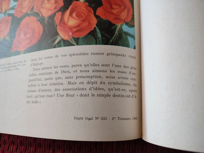Livre : Les Roses - Peter Coats - photo numéro 5