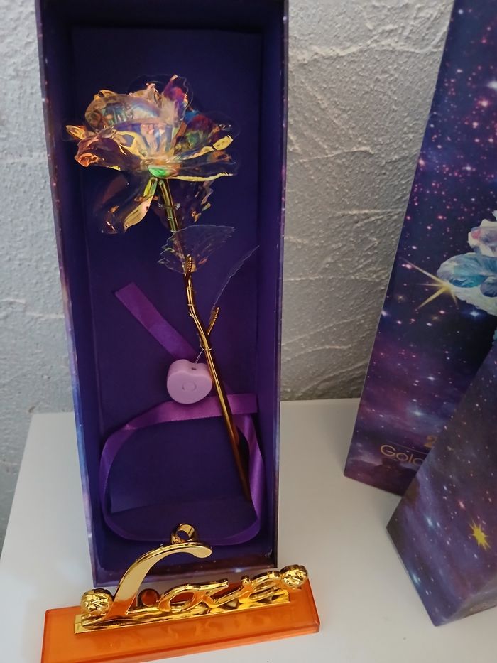 Rose éternel - photo numéro 2