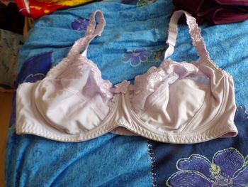 Soutien gorge parme 105C