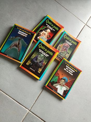 Lot livres chair de poule