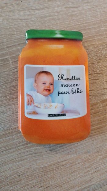 Livre de recettes maison pour bébé