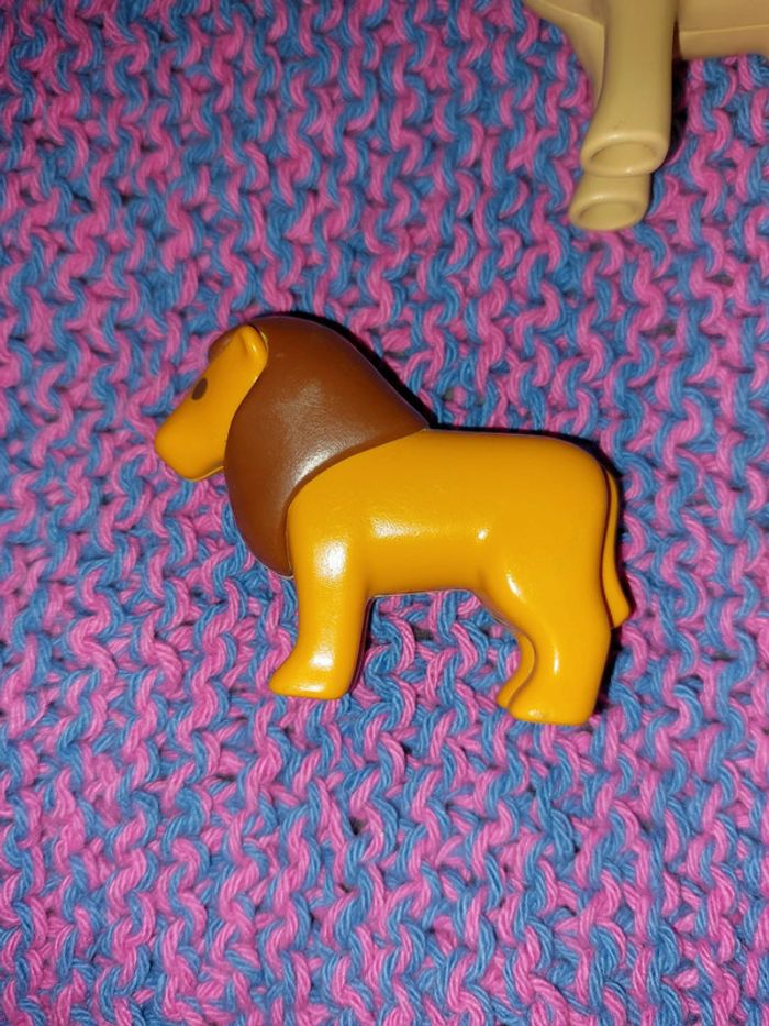 Lion, dromadaire et crocodile - photo numéro 2