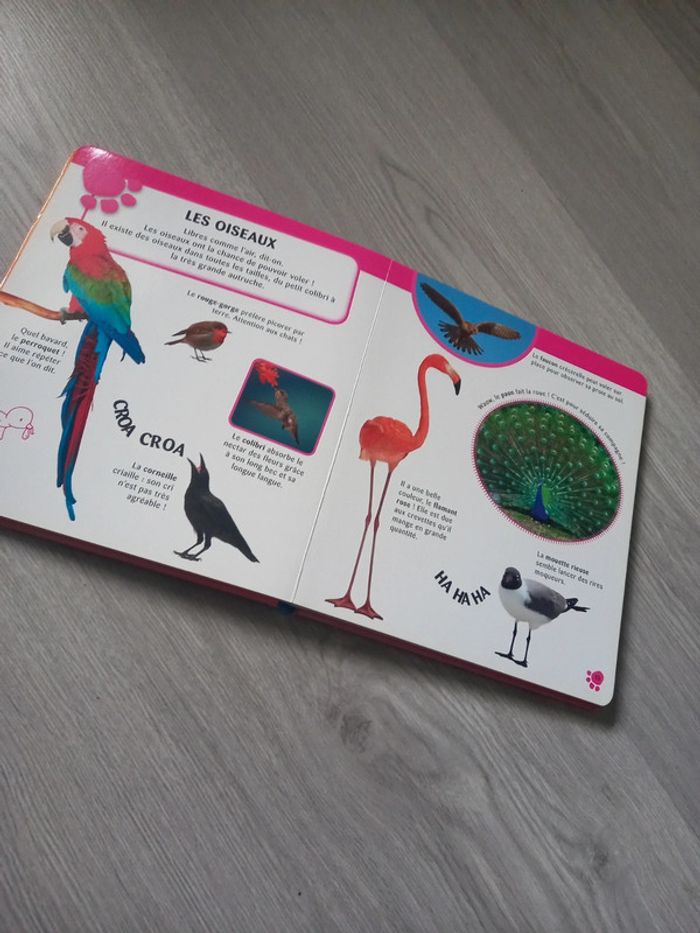 Livre " Je découvre les animaux " - photo numéro 5