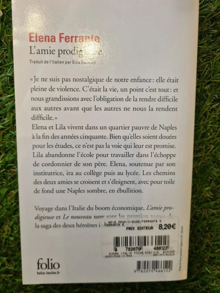 L'amie prodigieuse- Elena Ferrante (tome 1) - photo numéro 3