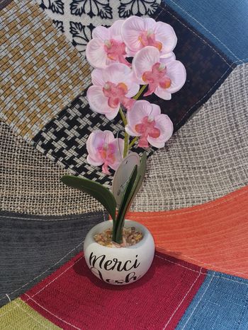 Cadeau fin d'année orchidée