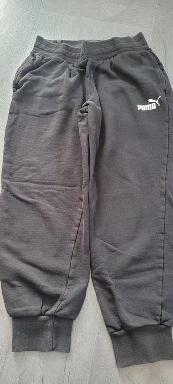 Jogging puma