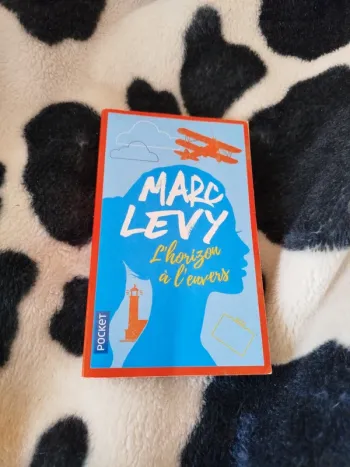 L horizon a l envers