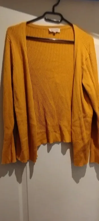 Gilet côtelé moutarde