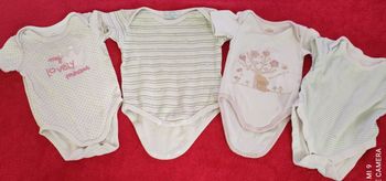 Bodies manches courtes