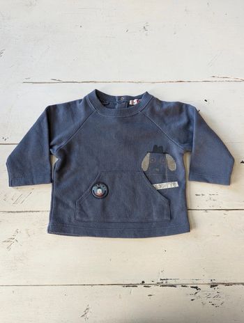 Sweat DPAM 🐶 6 mois