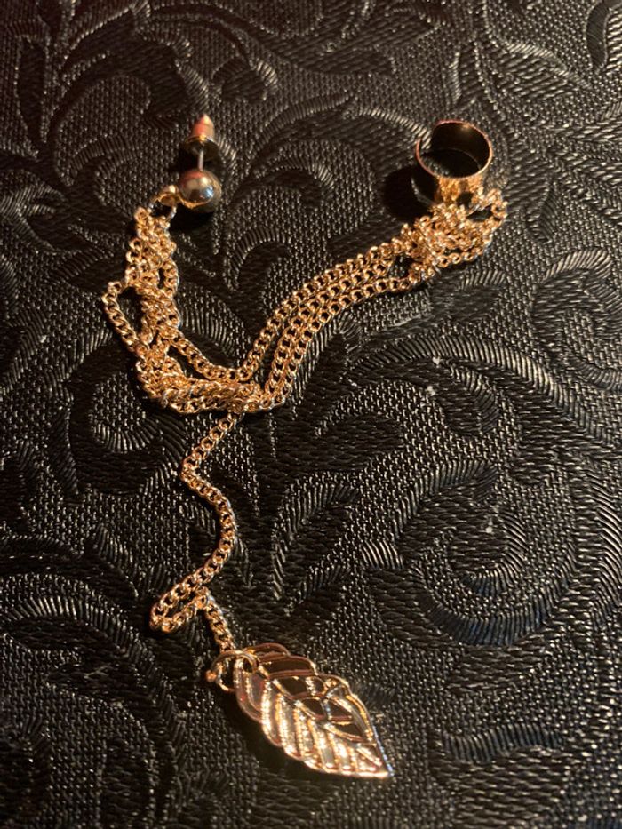 Un bijou d’oreilles