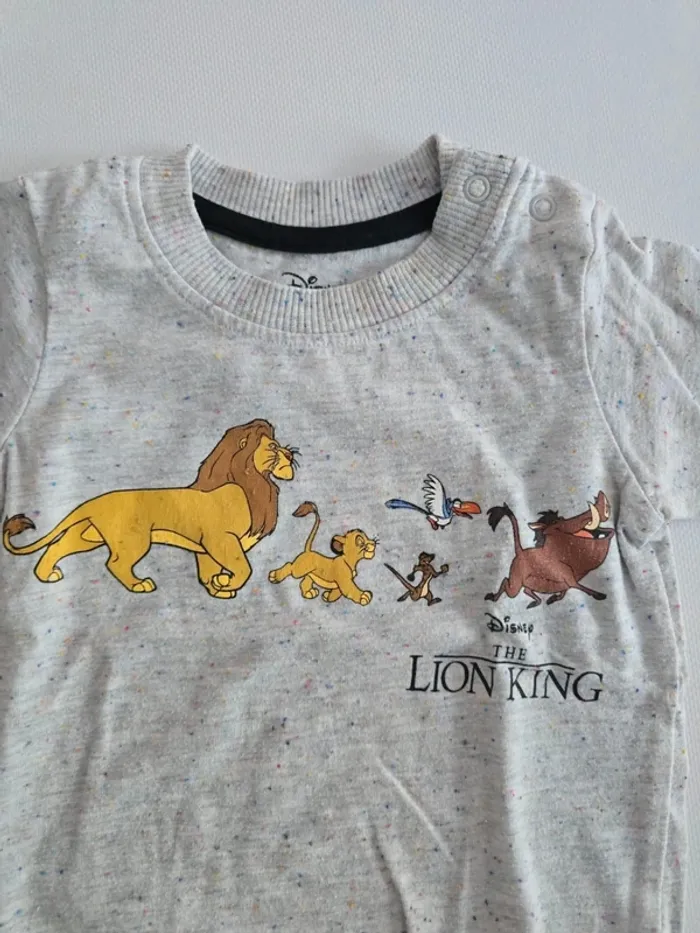 Lot de 2 tee shirt roi lion - photo numéro 3