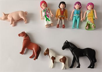 Lot de playmobil