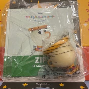 Livre Disney mes premiers amis sous blister,inclus la figurine