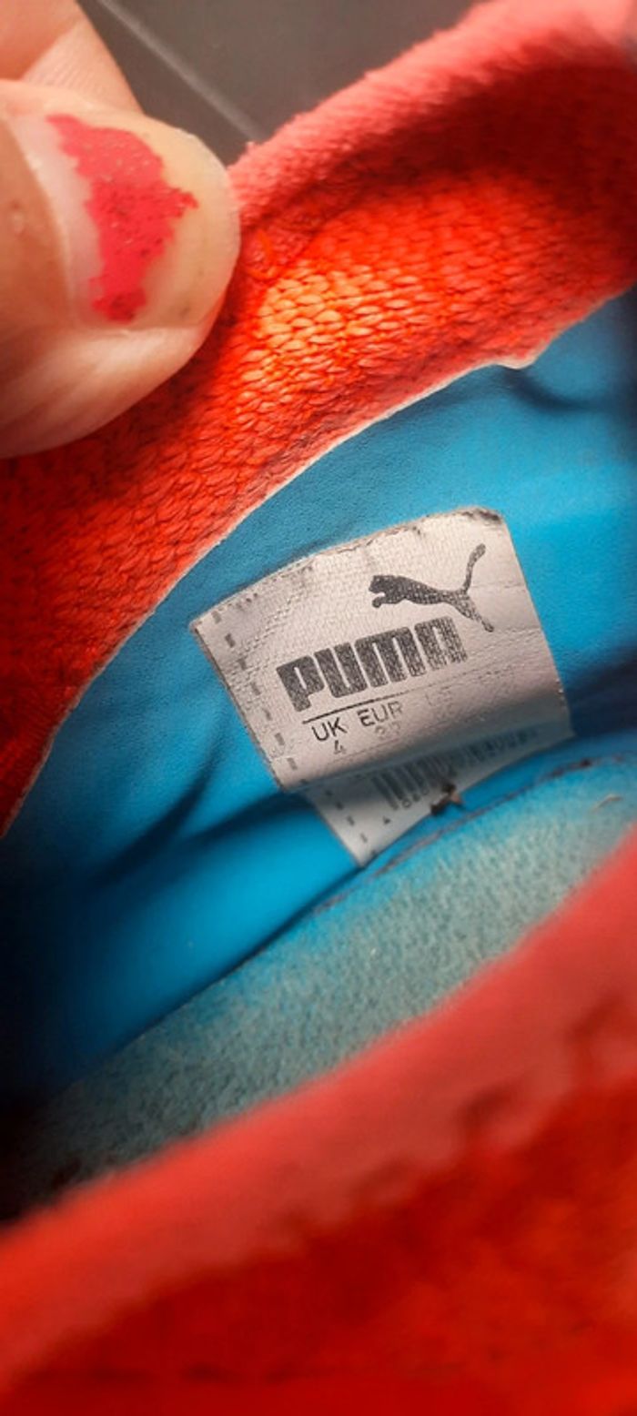 Crampons - photo numéro 13